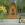 Image 1 / 6  Standard glamping pod